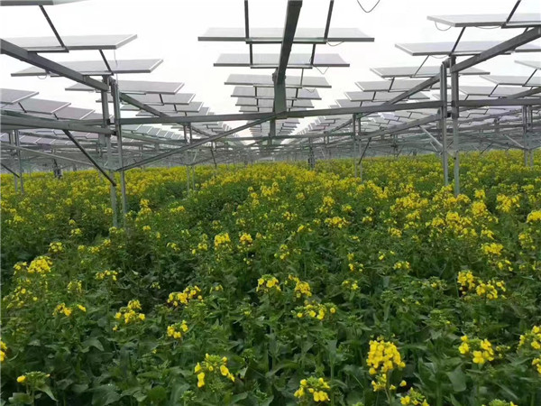 太陽(yáng)能光伏裝機